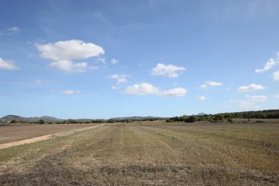 Venta Terrenos Manacor