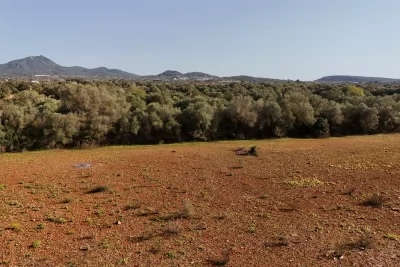 Venta Terrenos Felanitx