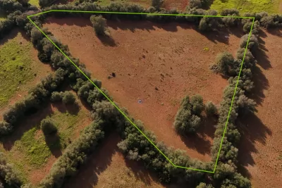 Venta Terrenos Felanitx