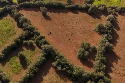 Venta Terrenos Felanitx