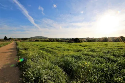 Venta Terrenos Manacor