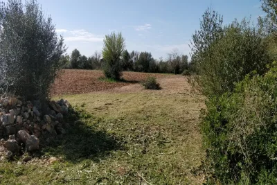 Venta Terrenos Manacor