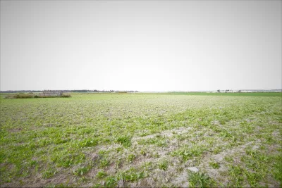 Venta Terrenos Manacor