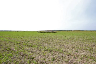 Venta Terrenos Manacor