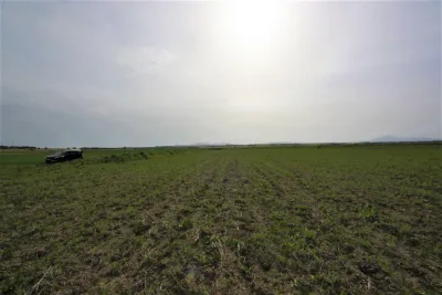 Venta Terrenos Manacor