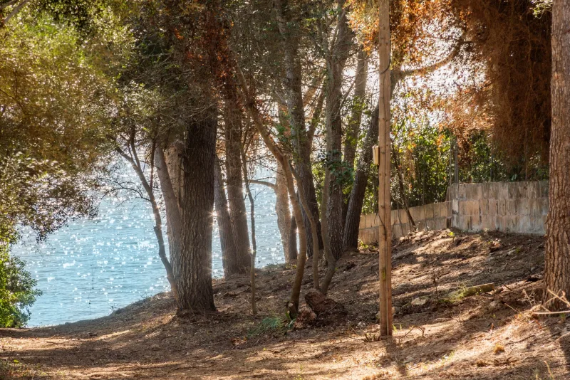 Villa in Costa de los Pinos, photo 13