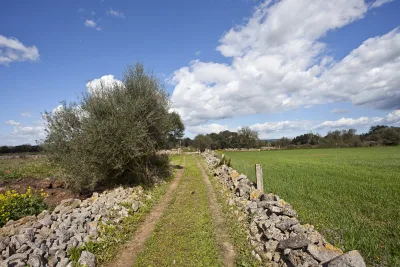 Compra Venta Terrenos en Manacor