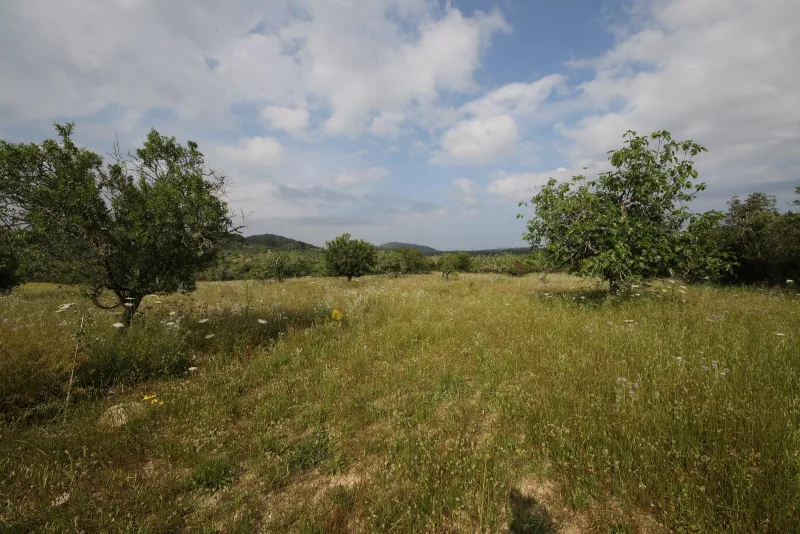 Se vende terreno en Son Servera