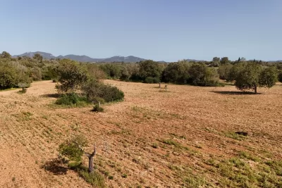 Venta Terrenos Felanitx