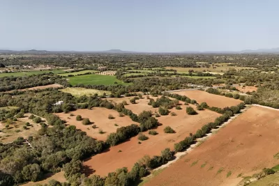 Venta Terrenos Felanitx