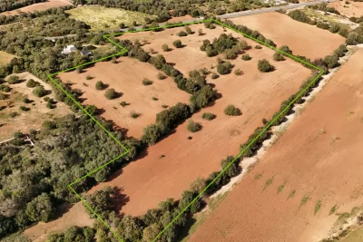 Venta Terrenos Felanitx