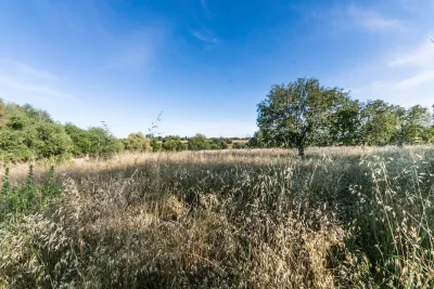 Venta Terrenos Felanitx