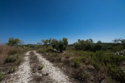 Venta Terrenos Manacor