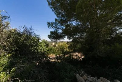 Venta Terrenos Manacor