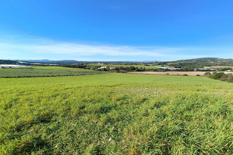 Terreno con proyecto y liciencia en Manacor