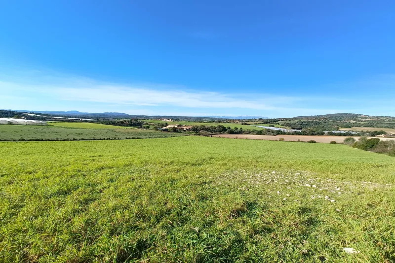 Terreno con proyecto y liciencia en Manacor