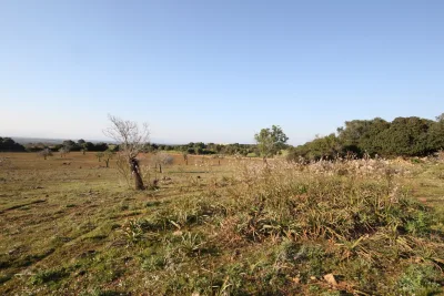 Venta Terrenos Manacor