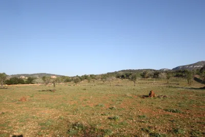 Venta Terrenos Manacor