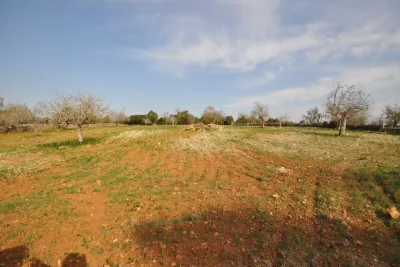 Venta Fincas San Lorenzo