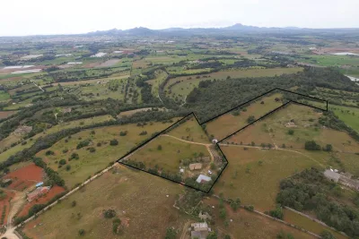 Venta Terrenos Manacor