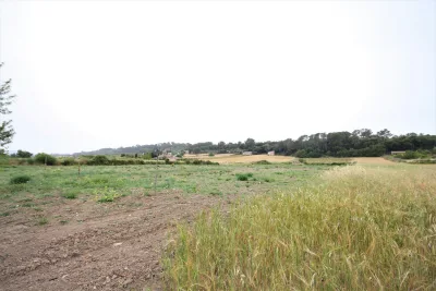 Venta Fincas Montuiri