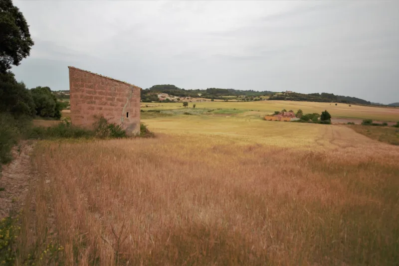 Terreno edificable en Montuiri