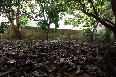 Venta Locales Manacor