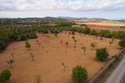 Venta Terrenos Manacor