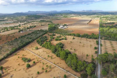 Venta Terrenos Manacor