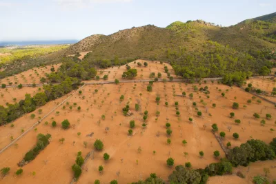 Venta Terrenos Manacor