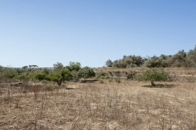 Venta Fincas Maria de la salut