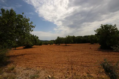 Venta Terrenos Felanitx