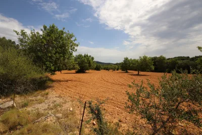 Venta Terrenos Felanitx