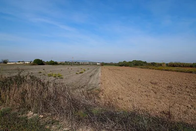 Venta Terrenos Felanitx