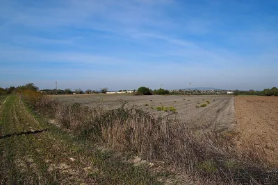 Venta Terrenos Felanitx