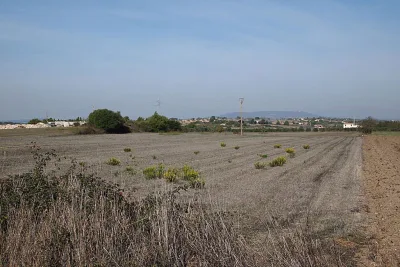 Venta Terrenos Felanitx