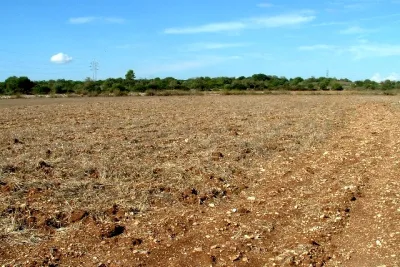 Venta Terrenos Manacor