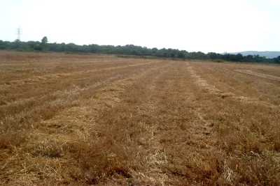 Venta Terrenos Manacor