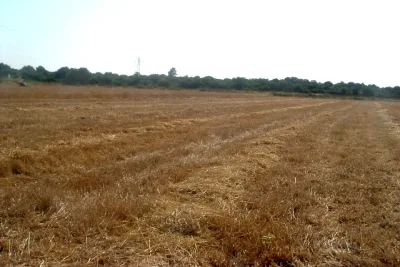 Venta Terrenos Manacor