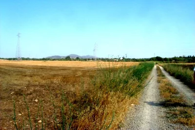 Venta Terrenos Manacor