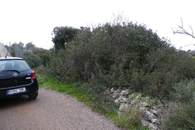 Venta Terrenos Manacor