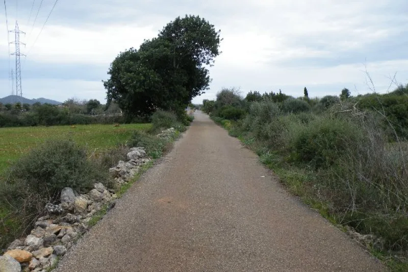 Se vende finca rustica en Manacor