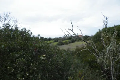 Venta Terrenos Manacor