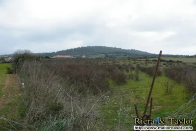 Venta Terrenos Manacor