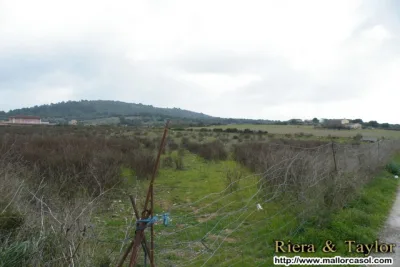 Venta Terrenos Manacor