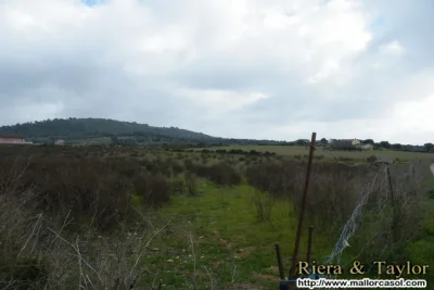 Venta Terrenos Manacor