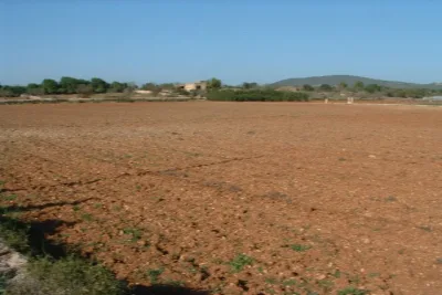 Venta Terrenos Manacor