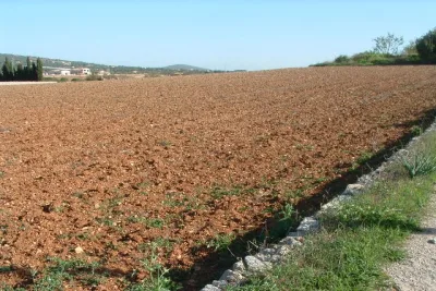 Venta Terrenos Manacor