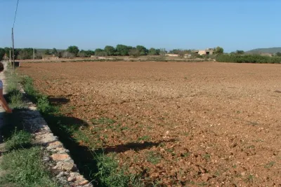 Venta Terrenos Manacor