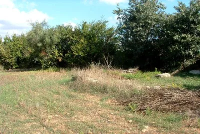 Venta Terrenos Manacor